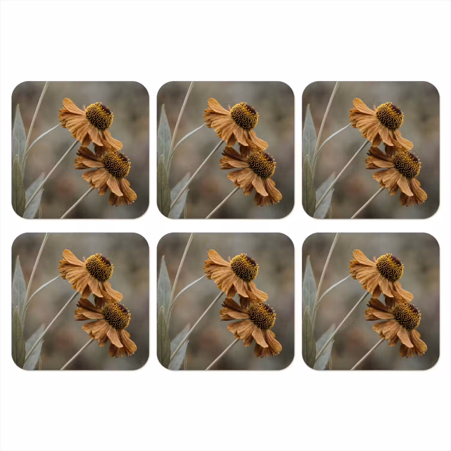 Zonnehoed - Droogbloemen - Geel - Warm onderzetter kurk middel -3d