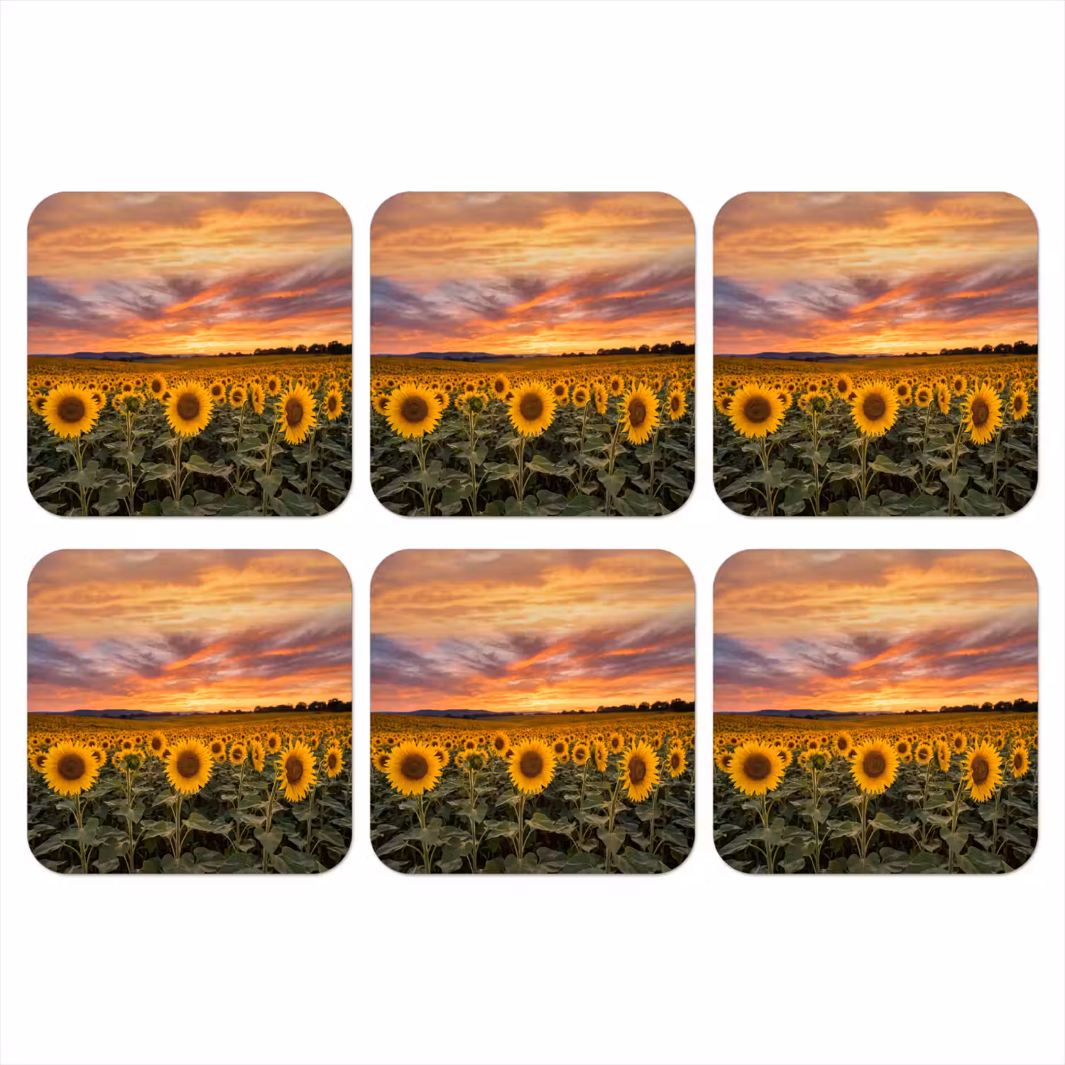 Zonnebloemen - Heuvellandschap - Geel onderzetter kurk middel -3d