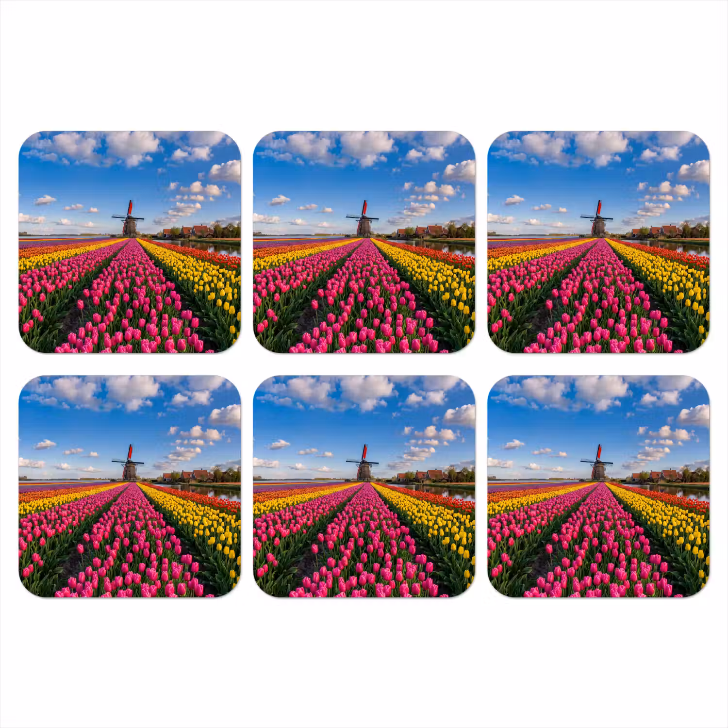Tulpen - Holland - Molen - Kleurrijk onderzetter kurk middel -3d
