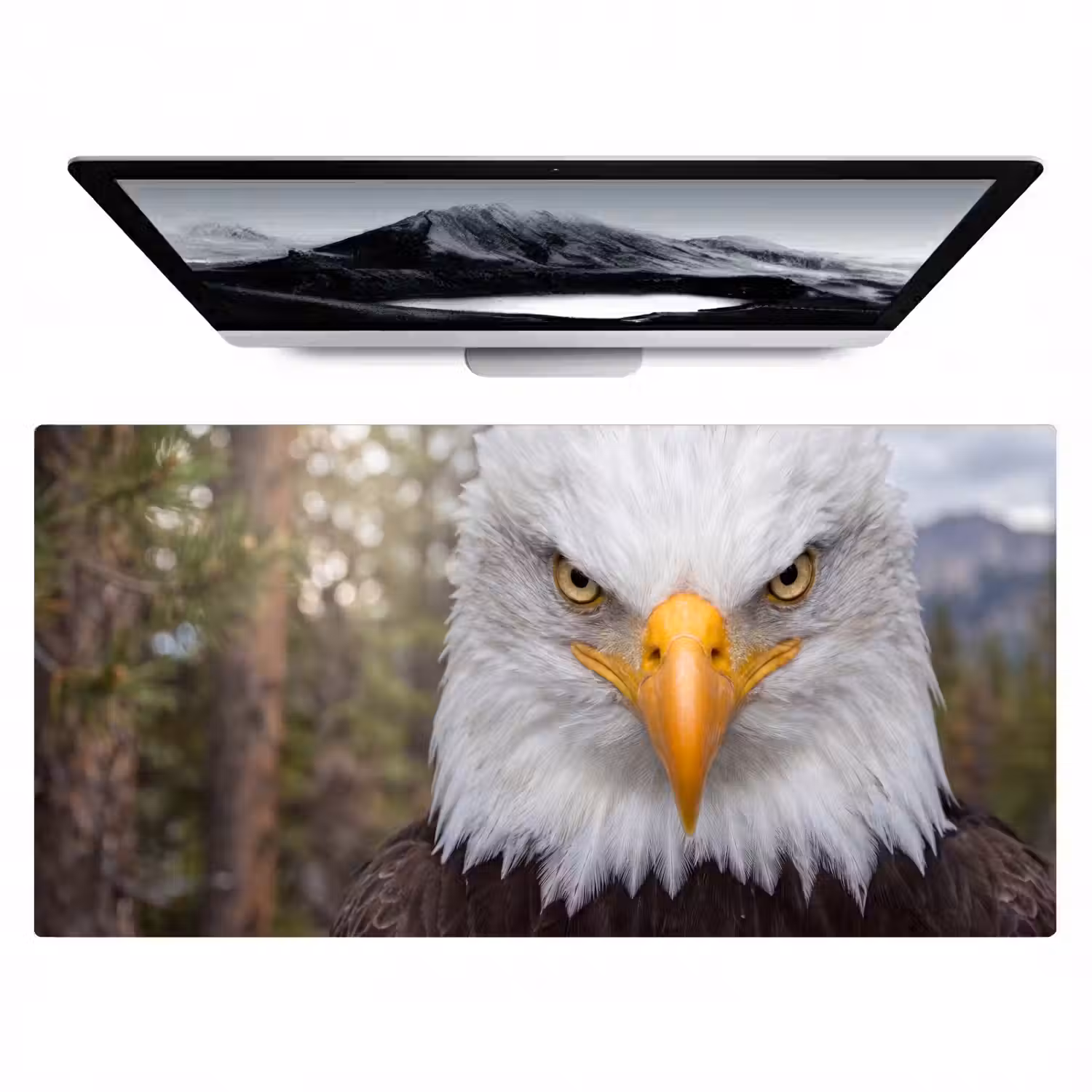 Amerikaans - Zeearend - Portret - Geel Muismat XXL klein -zzz3d