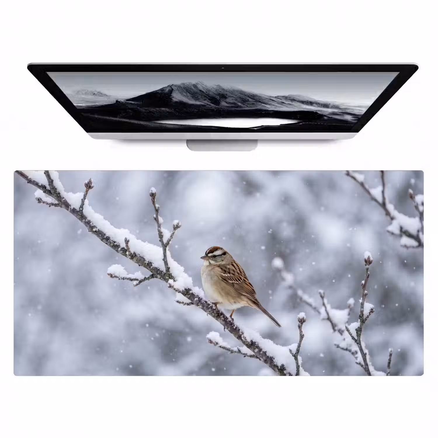 Vogel - Tak - Sneeuw - Winter Muismat XXL klein -zzz3d