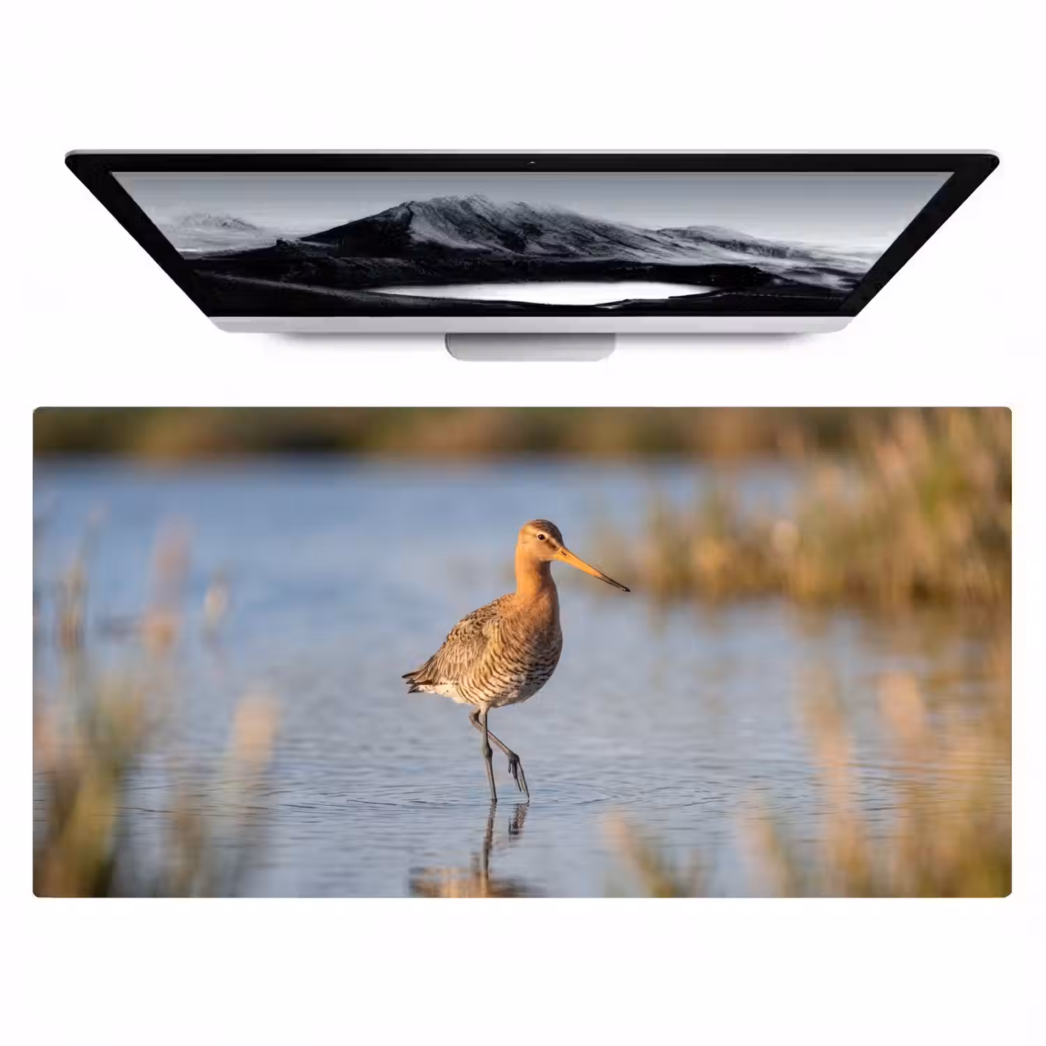 Vogel - Steltloper - Water - Natuur Muismat XXL klein -zzz3d