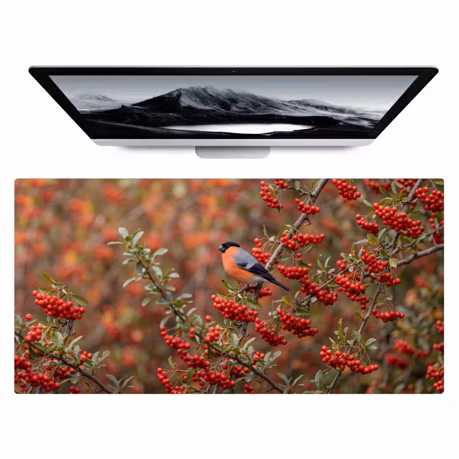 Goudvink - Bessen - Herfst - Natuur - Kleurrijk Muismat XXL klein -zzz3d