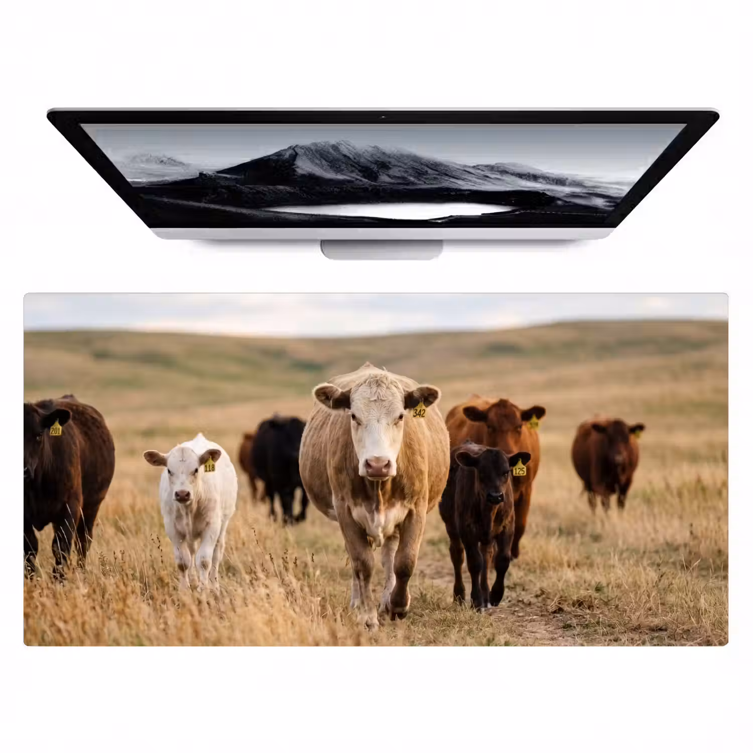 Runderen - Kudde - Landschap - Weide - Rustig Muismat XXL klein -zzz3d