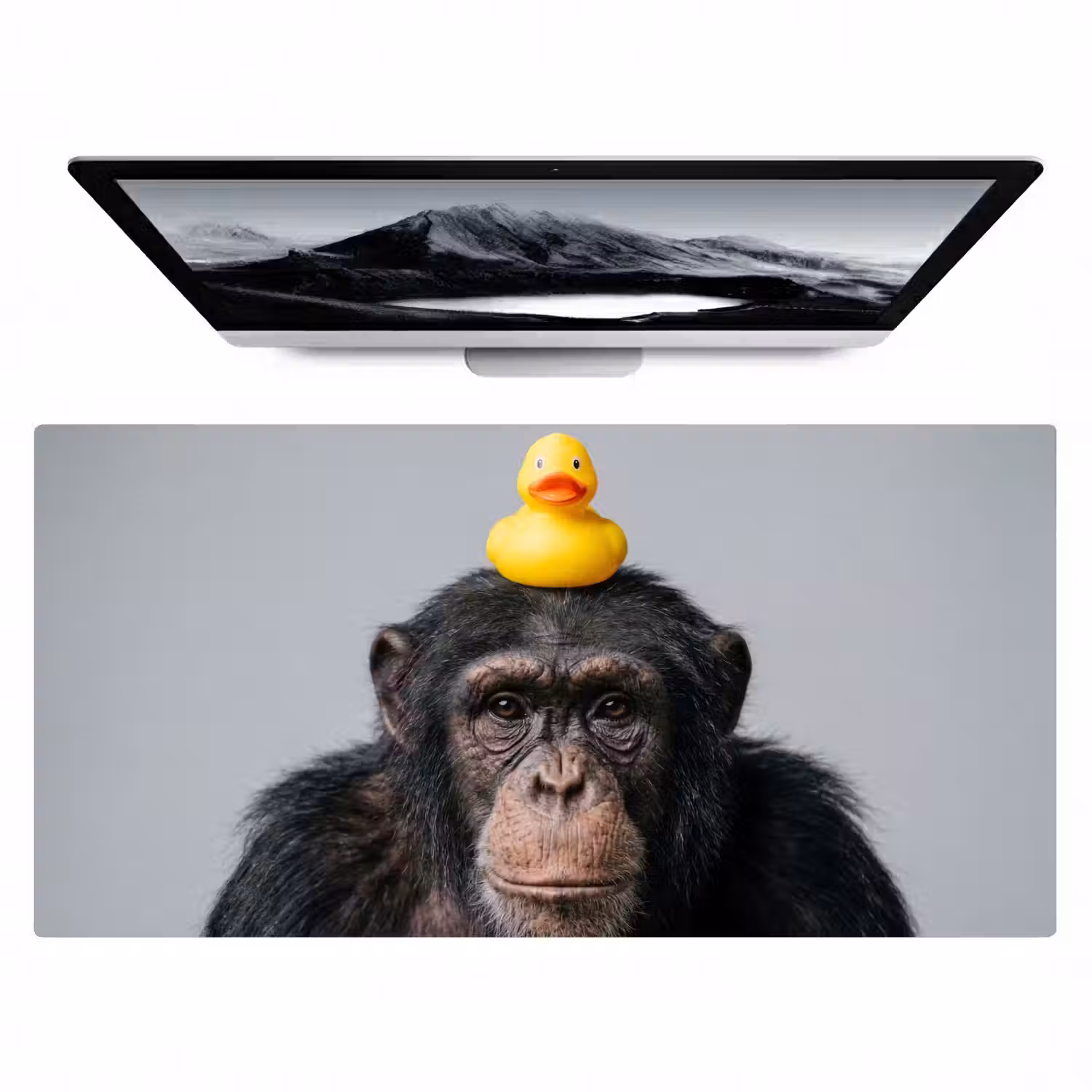 Chimpansee - Badeend - Grijs Muismat XXL klein -zzz3d