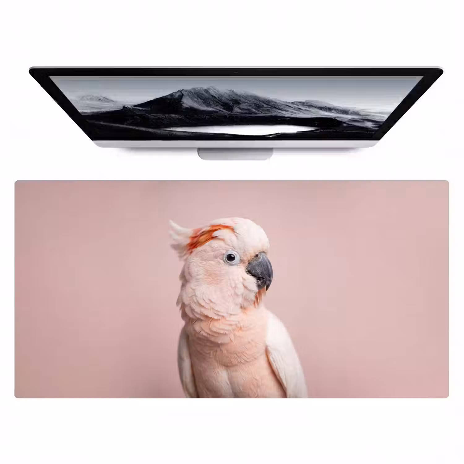 Kaketoe - Portret - Roze Muismat XXL klein -zzz3d