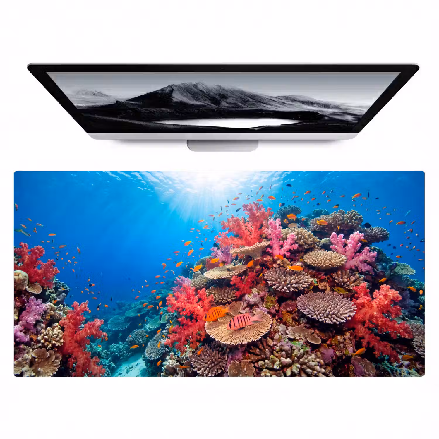 Koraalrif - Vissen - Onderwater - Tropisch - Rood Muismat XXL klein -zzz3d