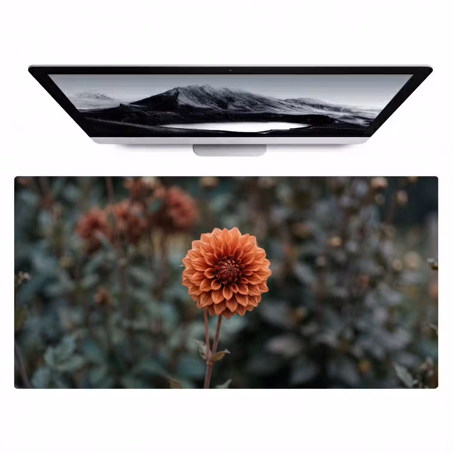 Dahlia - Bloem - Natuur - Sfeervol Muismat XXL klein -zzz3d