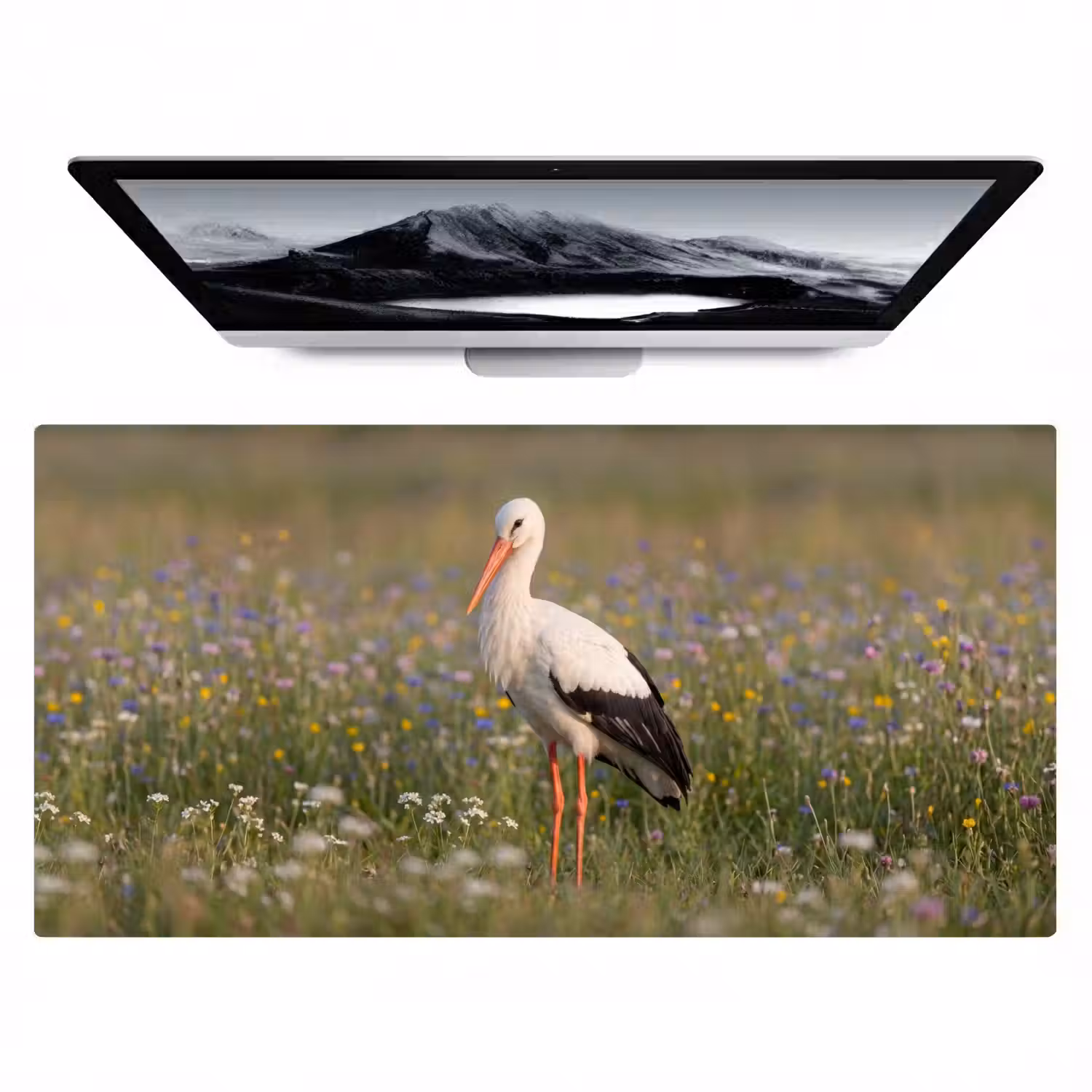 Ooienvaar - Bloemen - Weide - Kleurrijk Muismat XXL klein -zzz3d