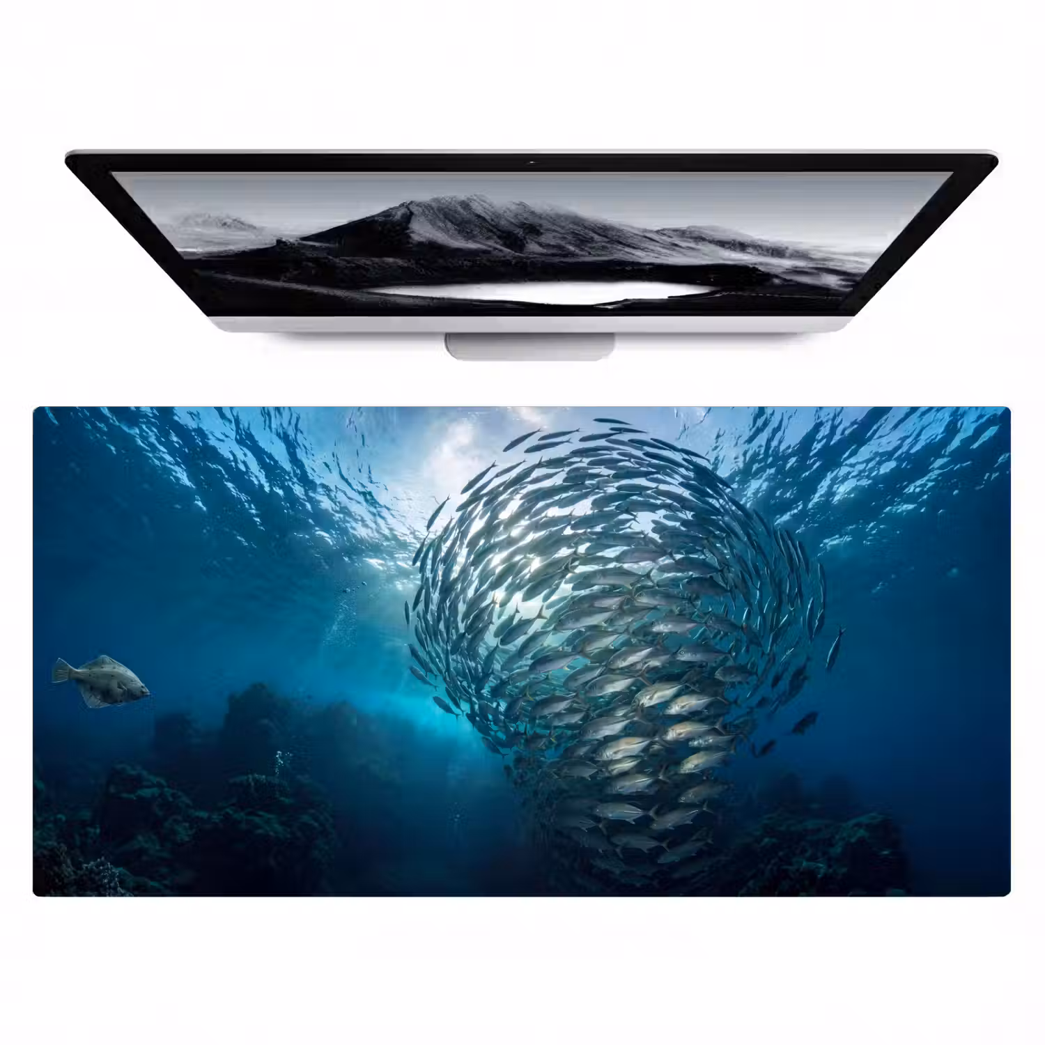 Vis - School - Oceaan - Natuur - Blauw Muismat XXL klein -zzz3d