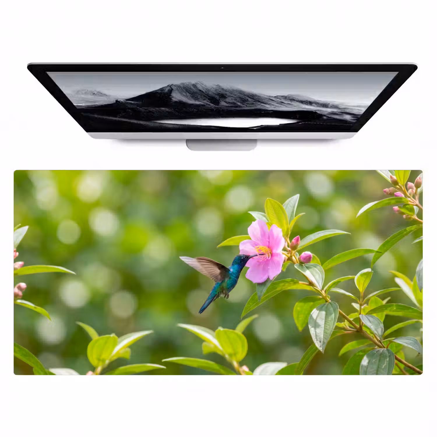 Kolibrie - Bloem - Natuur - Groen Muismat XXL klein -zzz3d