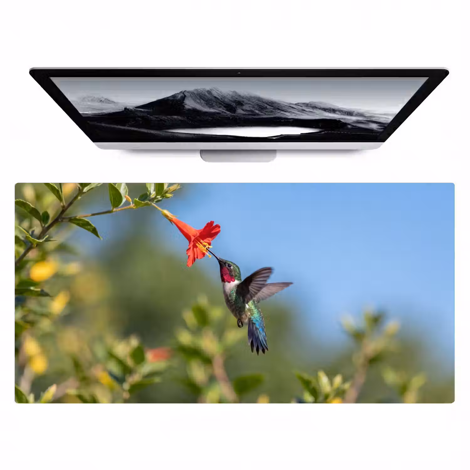 Kolibrie - Bloem - Natuur - Groen Muismat XXL klein -zzz3d