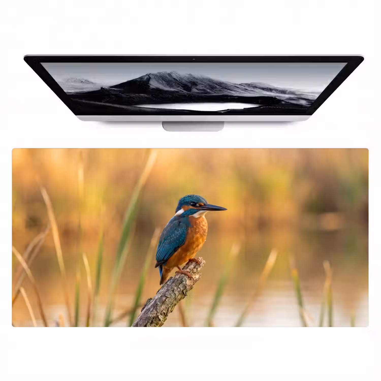 IJsvogel - Tak - Water - Kleurrijk - Levendig Muismat XXL klein -zzz3d