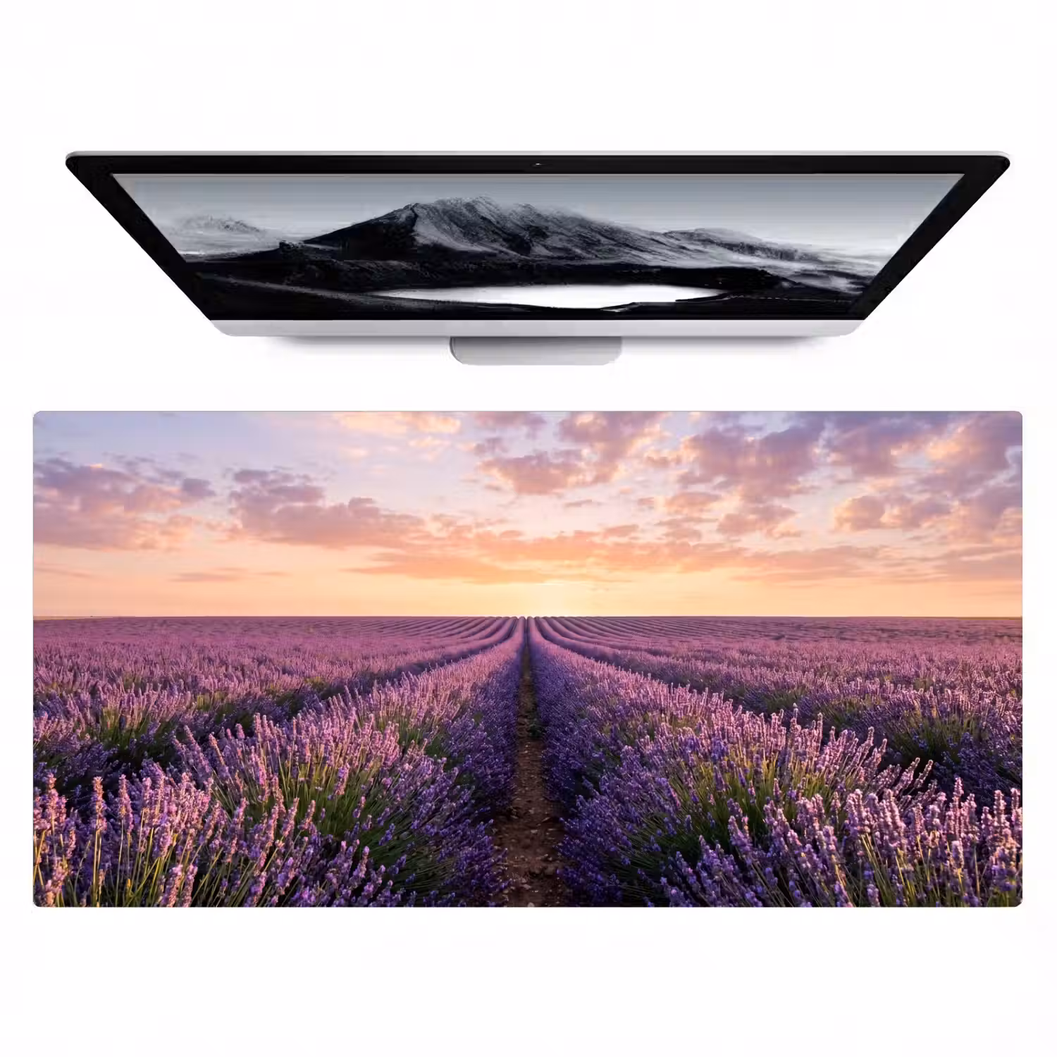 Landschap - Lavendelveld - Paars Muismat XXL klein -zzz3d