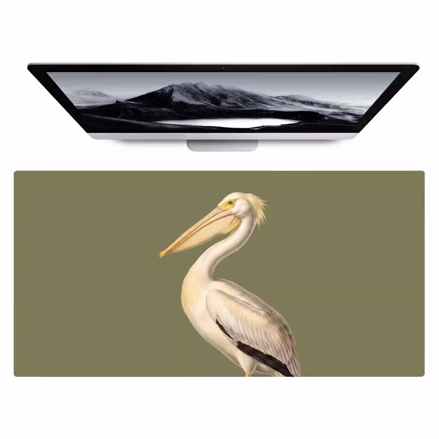 Pelikaan - Wit - Vogel - Klassiek - Natuur Muismat XXL klein -zzz3d