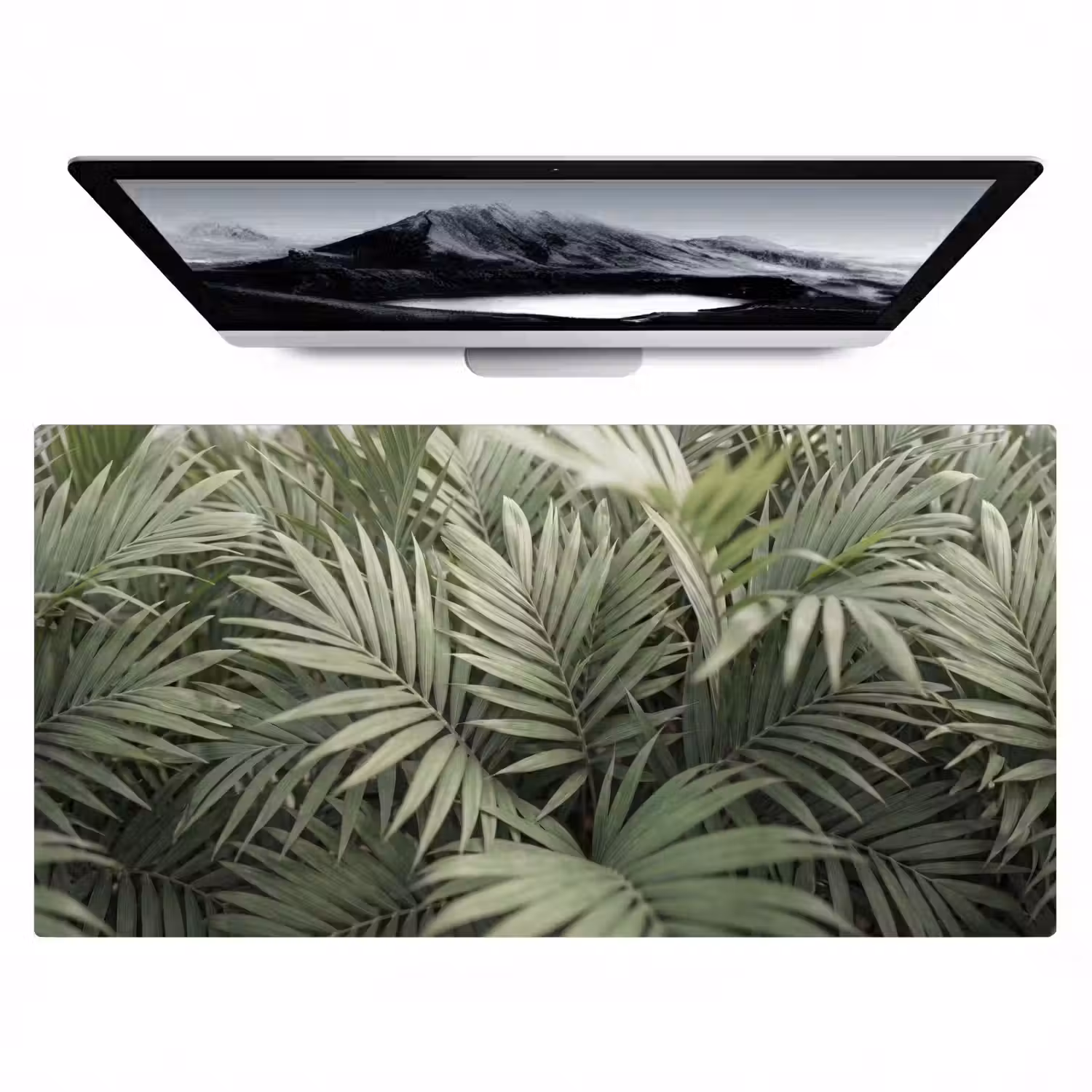 Plant - Palmbladeren - Natuur - Groen Muismat XXL klein -zzz3d