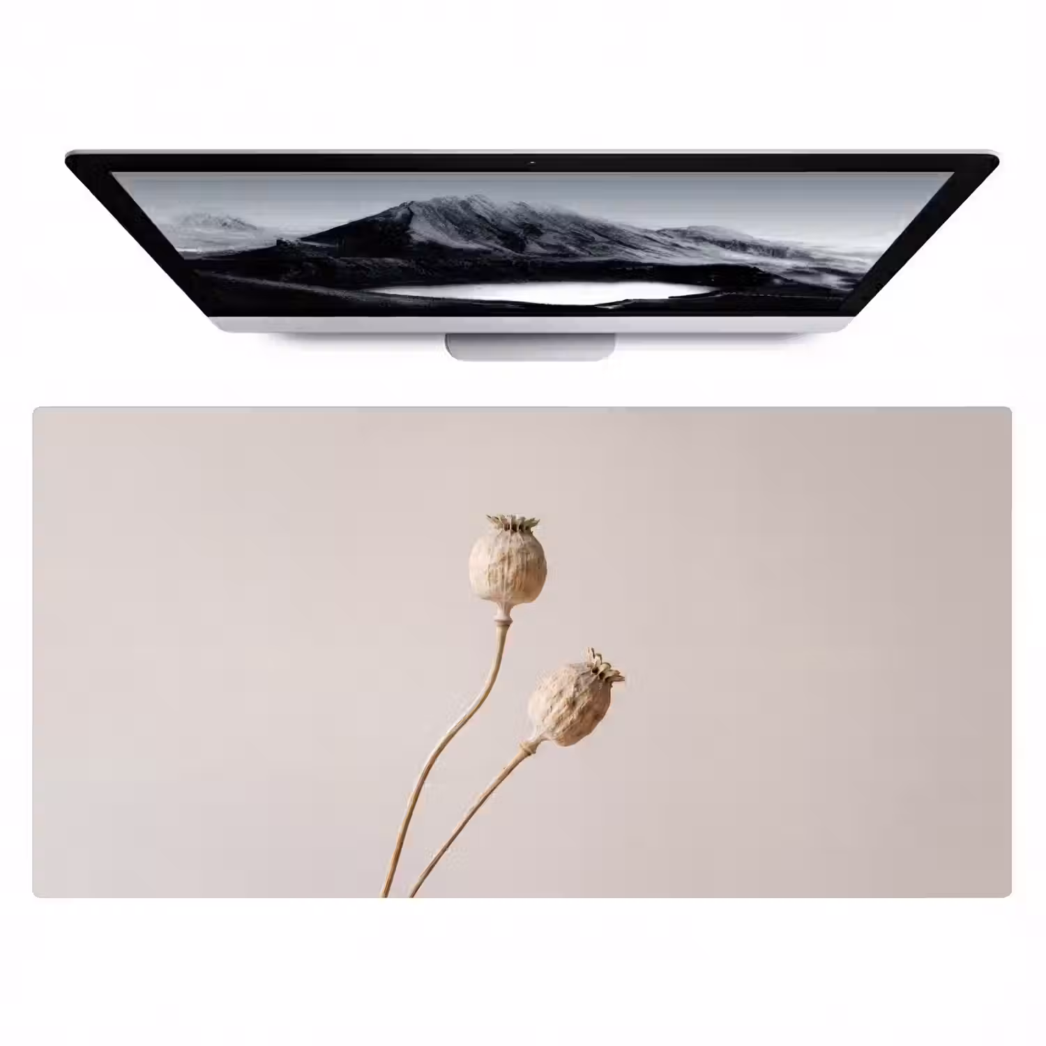 Papaverbollen - Droogbloemen - Minimalistisch - Beige - Rustig Muismat XXL klein -zzz3d