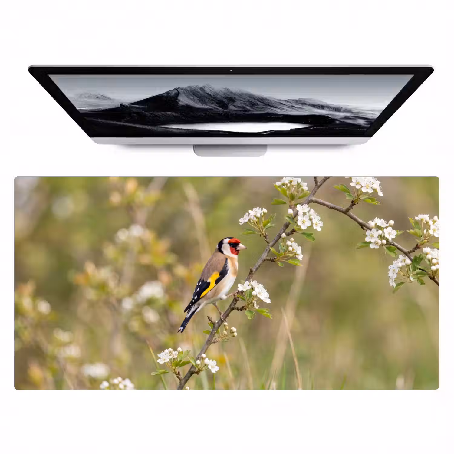 Putter - Bloesem - Lente - Natuur - Kleurrijk Muismat XXL klein -zzz3d