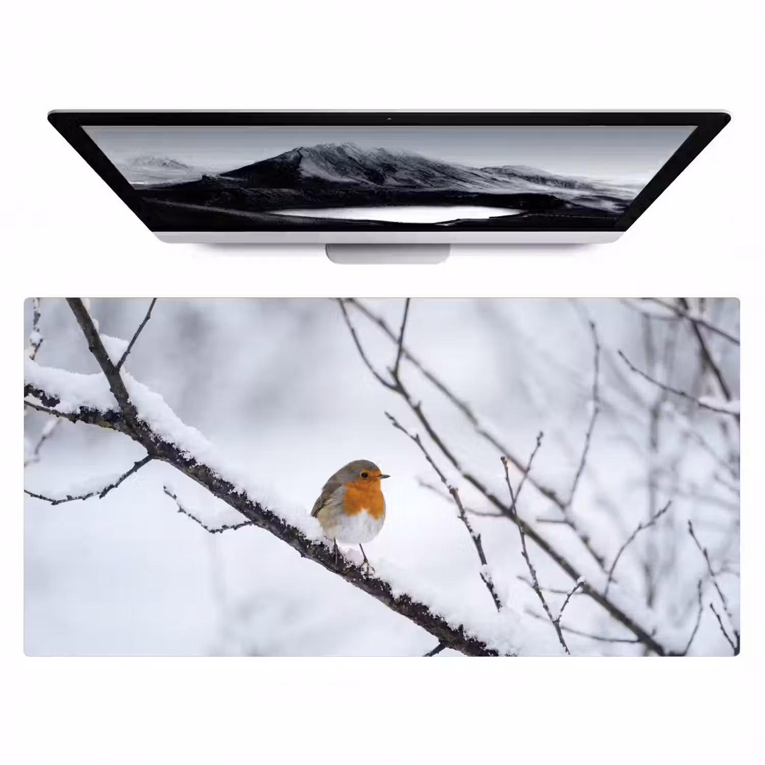 Roodborstje - Tak - Sneeuw - Winter - Levendig Muismat XXL klein -zzz3d