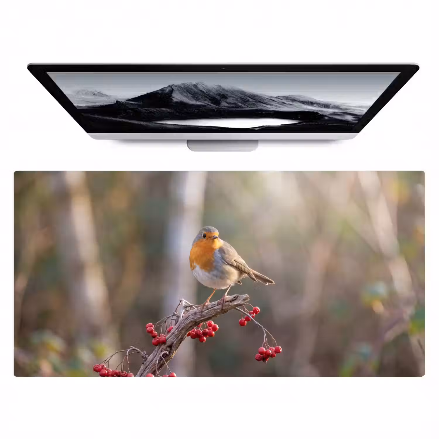 Roodborst - Tak - Bessen - Natuur Muismat XXL klein -zzz3d