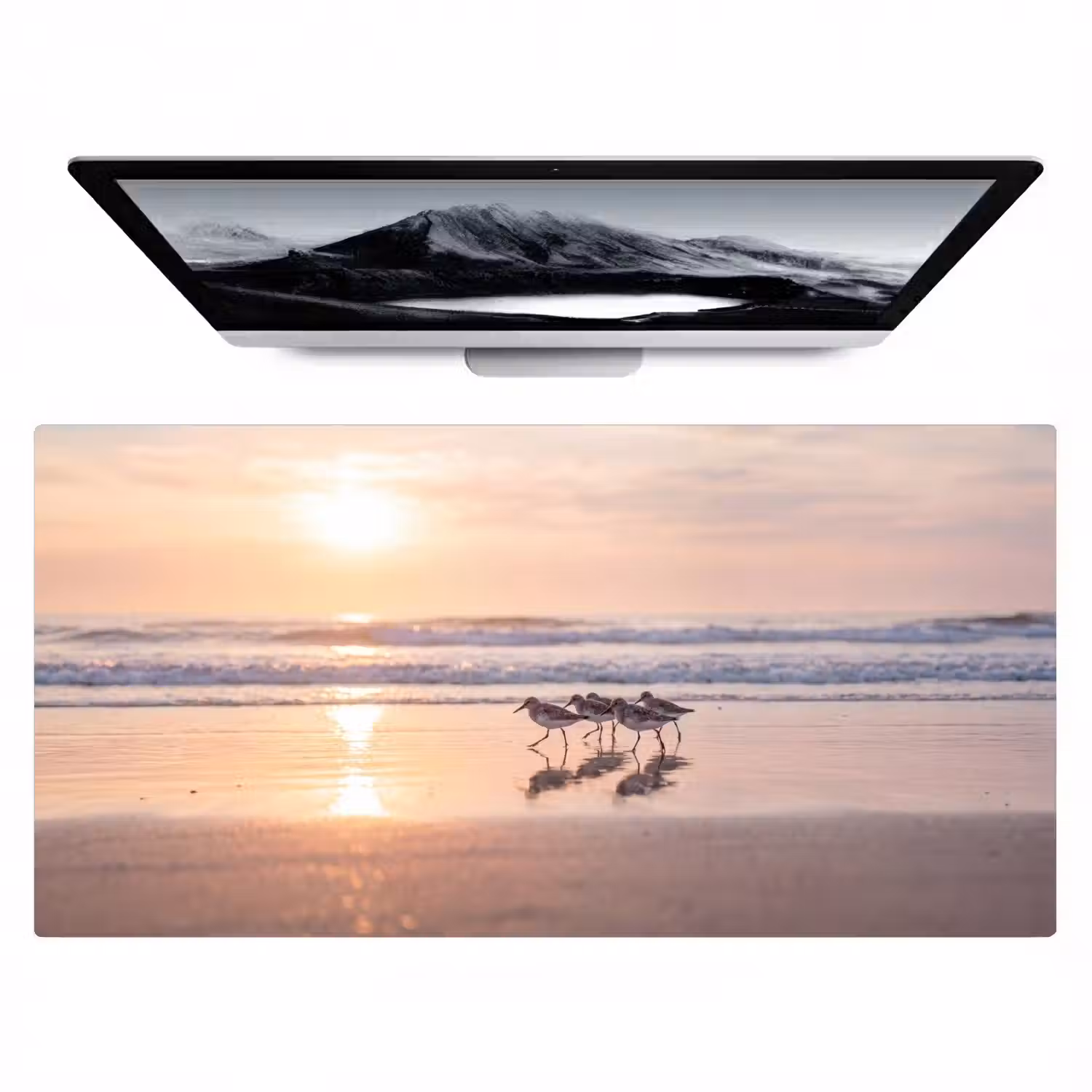Zee - Vogels - Strand Muismat XXL klein -zzz3d