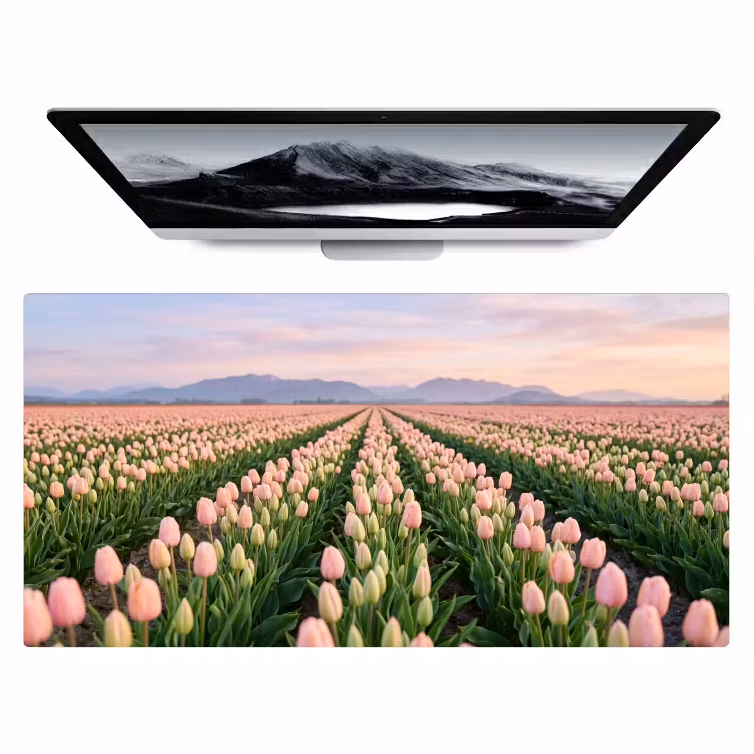 Tulpen - Landschap - Roze Muismat XXL klein -zzz3d