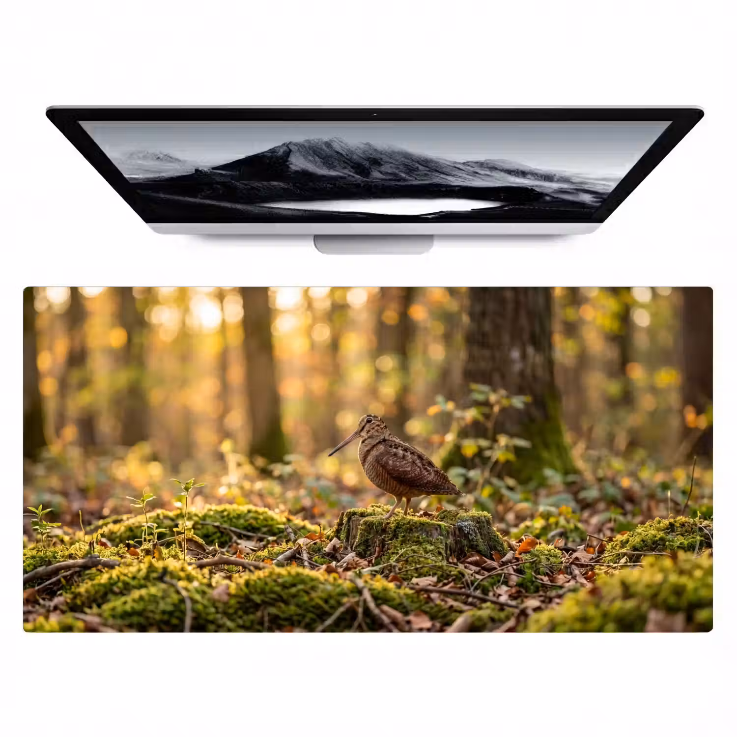 Houtsnip - Bos - Bladeren - Herfst - Gecamoufleerd Muismat XXL klein -zzz3d