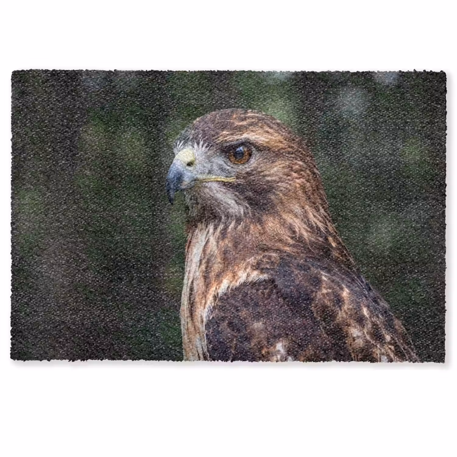 Buizerd - Roofvogel - Natuur - Bruin Deurmat klein -zkaufland3d