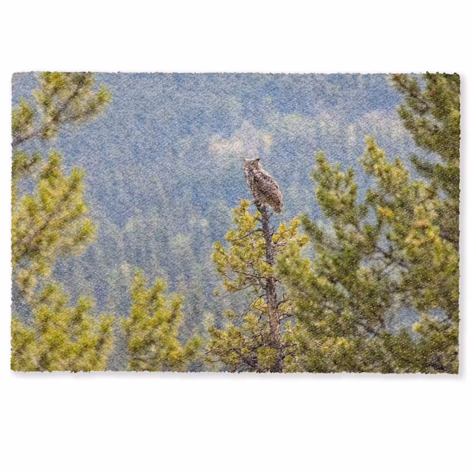 Uil - Oehoe - Bomen - Natuur Deurmat klein -zkaufland3d