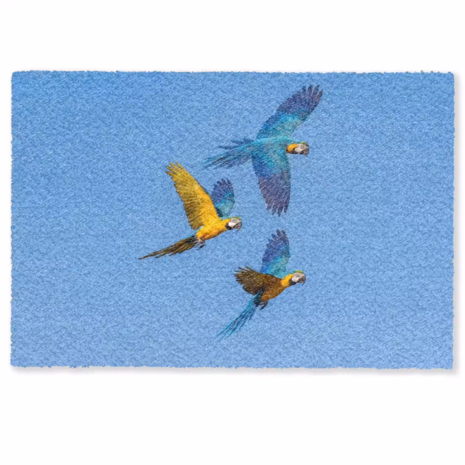 Papagaai - Vliegen - Blauw - Geel Deurmat klein -zkaufland3d