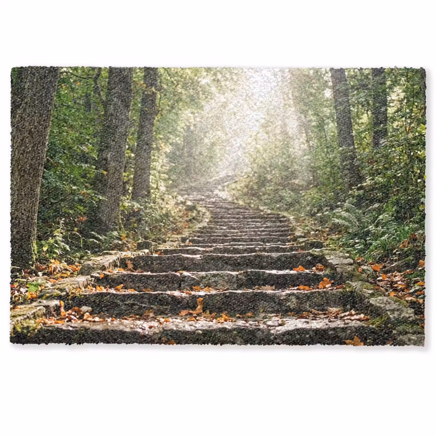 Stenen - Trap - Bos - Natuur Deurmat klein -zkaufland3d