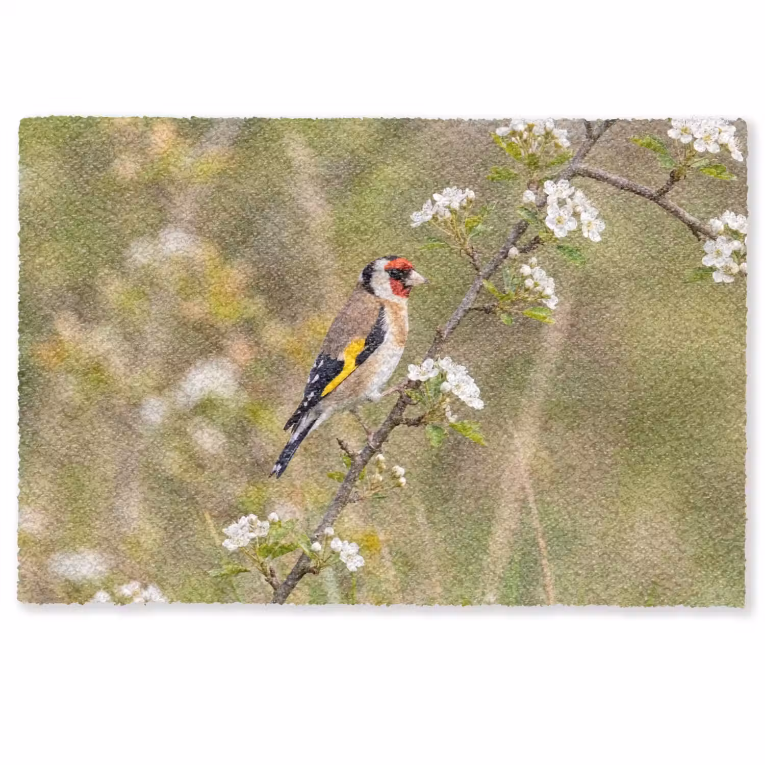Putter - Bloesem - Lente - Natuur - Kleurrijk Deurmat klein -zkaufland3d