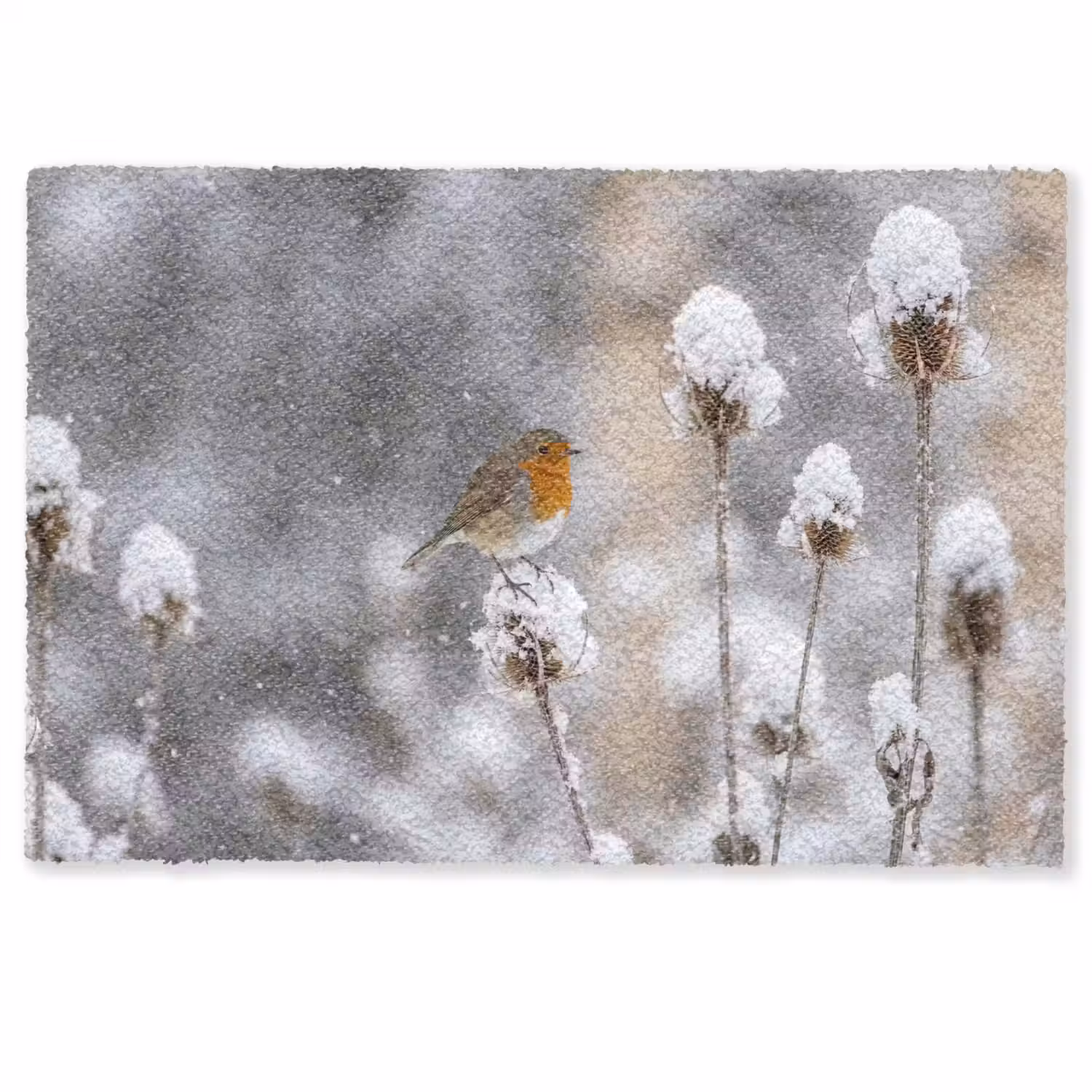 Roodborstje - Gedroogde bloem - Sneeuw - Winter - Vertederend Deurmat klein -zkaufland3d