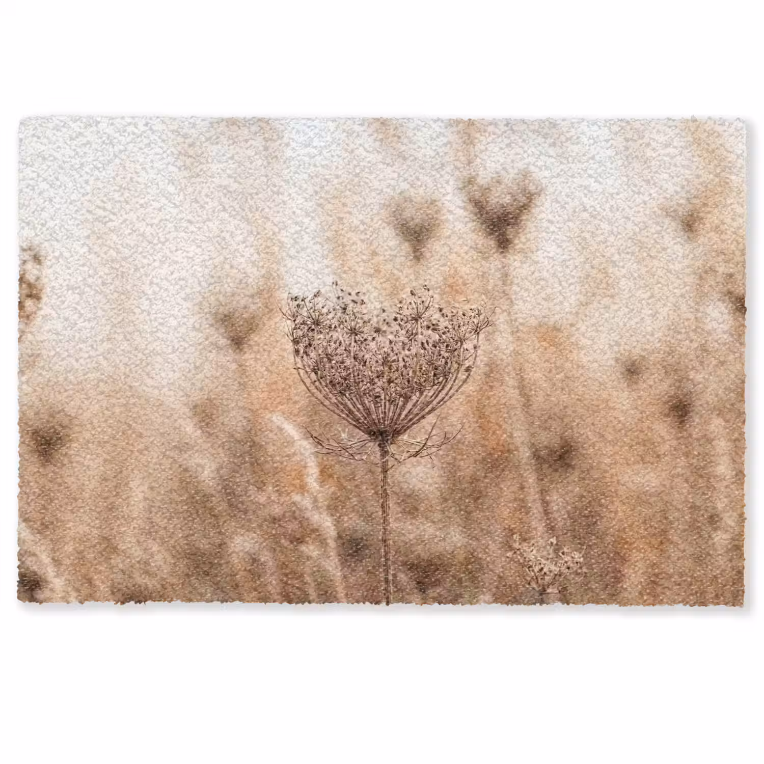 Schermbloem - Droogbloem - Winter - Beige - Minimalistisch Deurmat klein -zkaufland3d