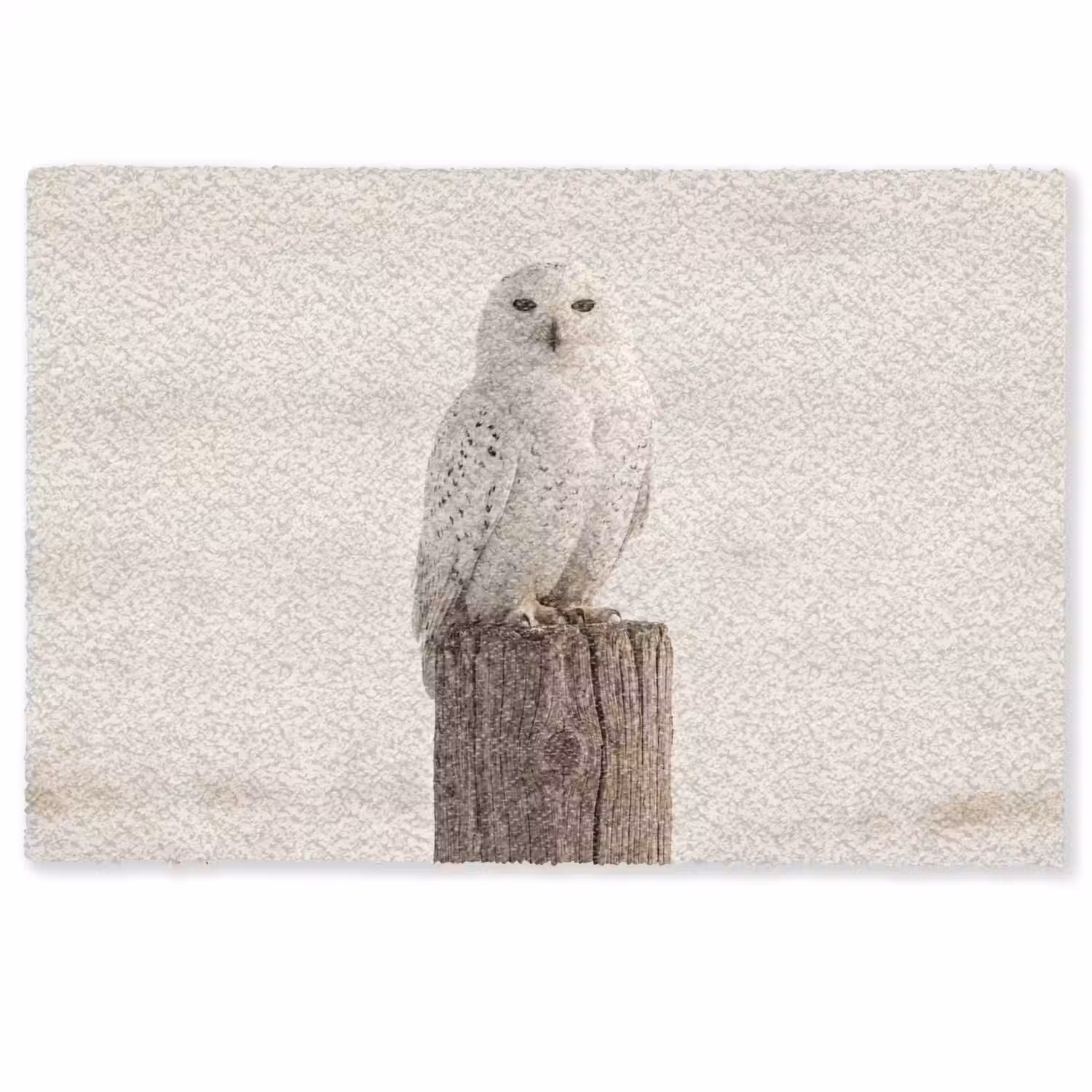 Sneeuwuil - Paal - Winter - Portret - Majestueus Deurmat klein -zkaufland3d