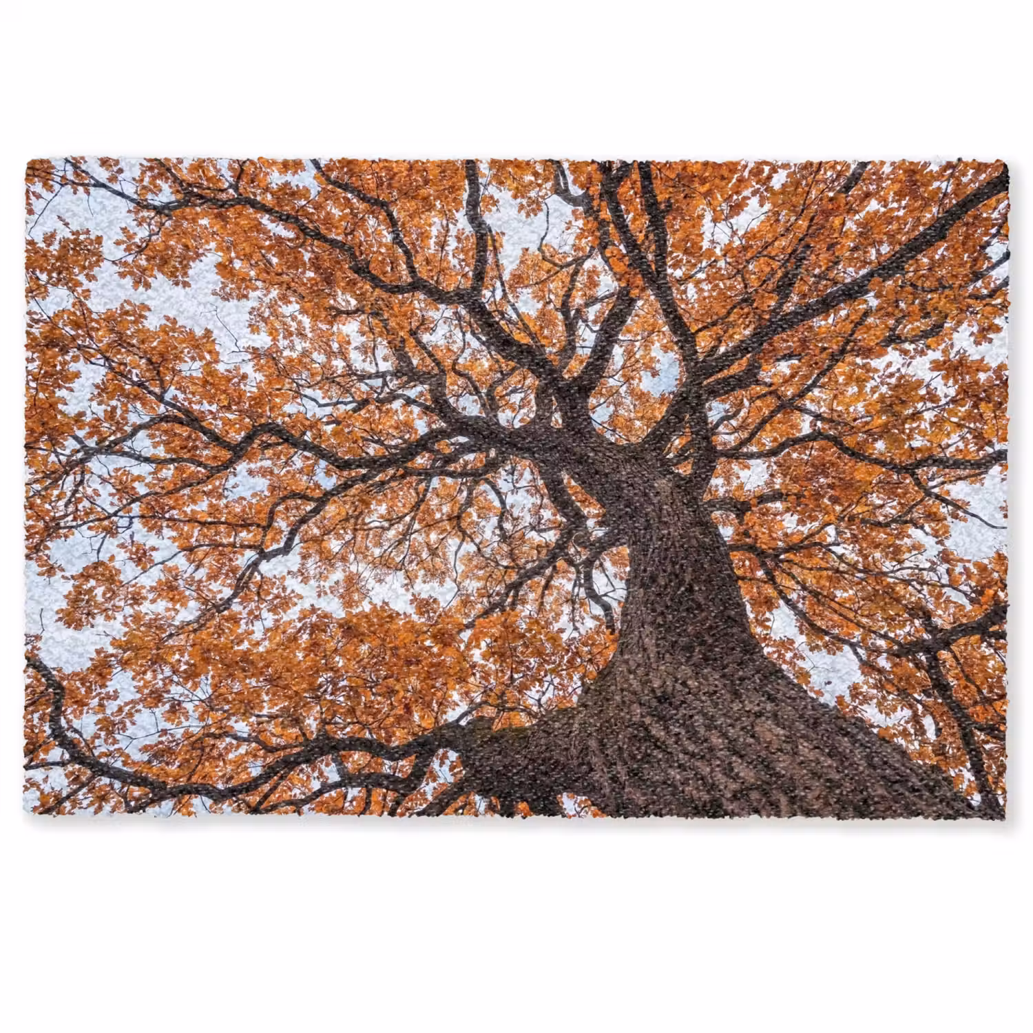 Boom - Bladerdak - Herfst - Oranje - Sfeervol Deurmat klein -zkaufland3d