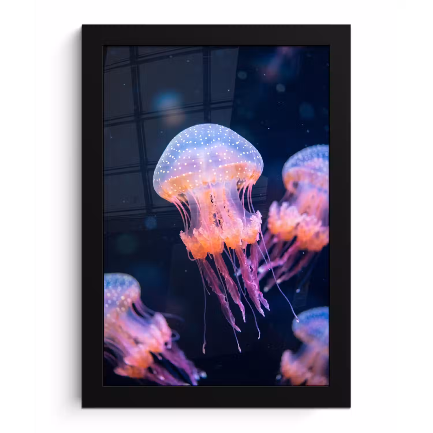Dier - Onderwater - Natuur - Roze - Mysterieus fotolijst zwart zonder passe partout klein -3d