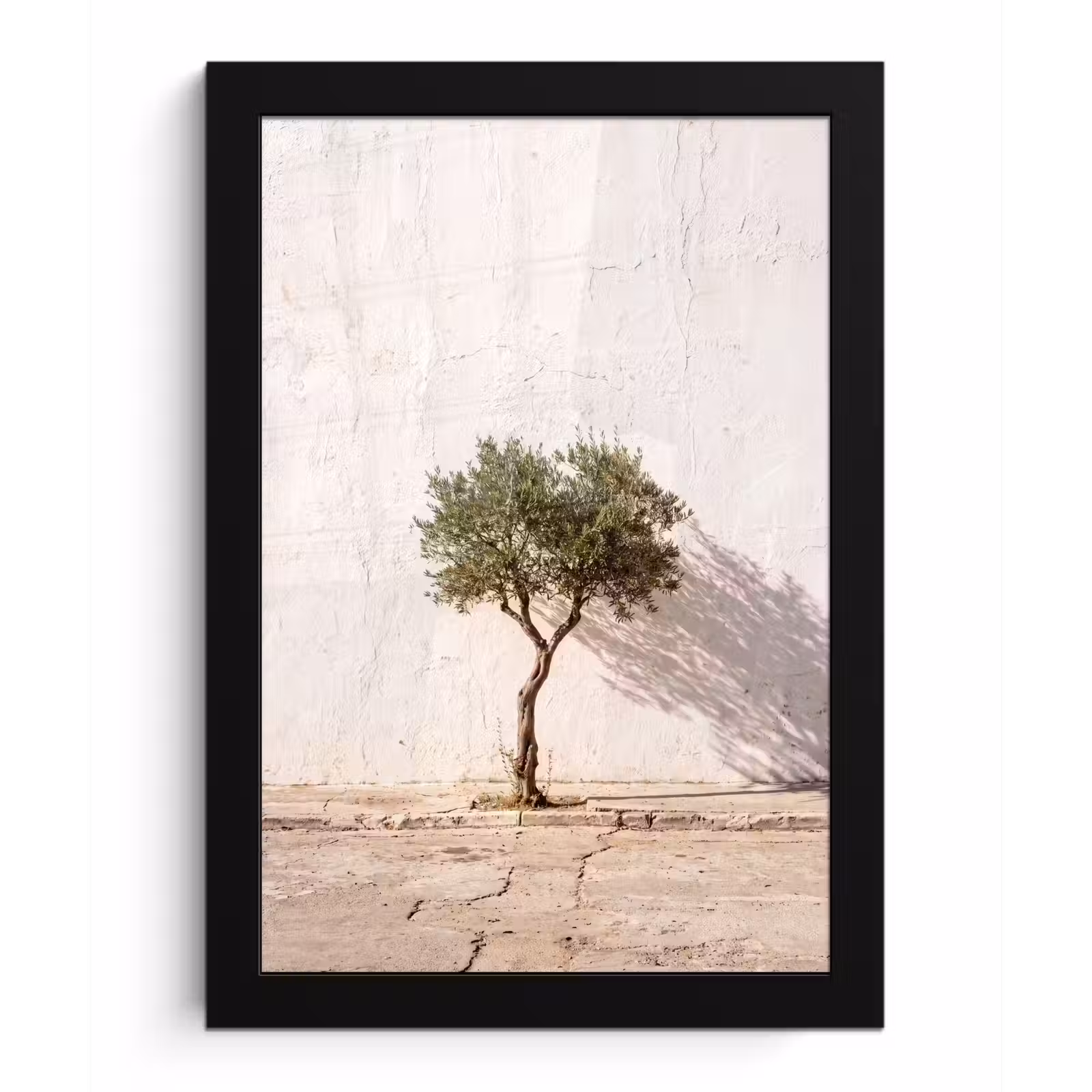 Framed Prints - Olive Tree - Wall - White - Olijfboom - muur - wit fotolijst zwart zonder passe partout klein
