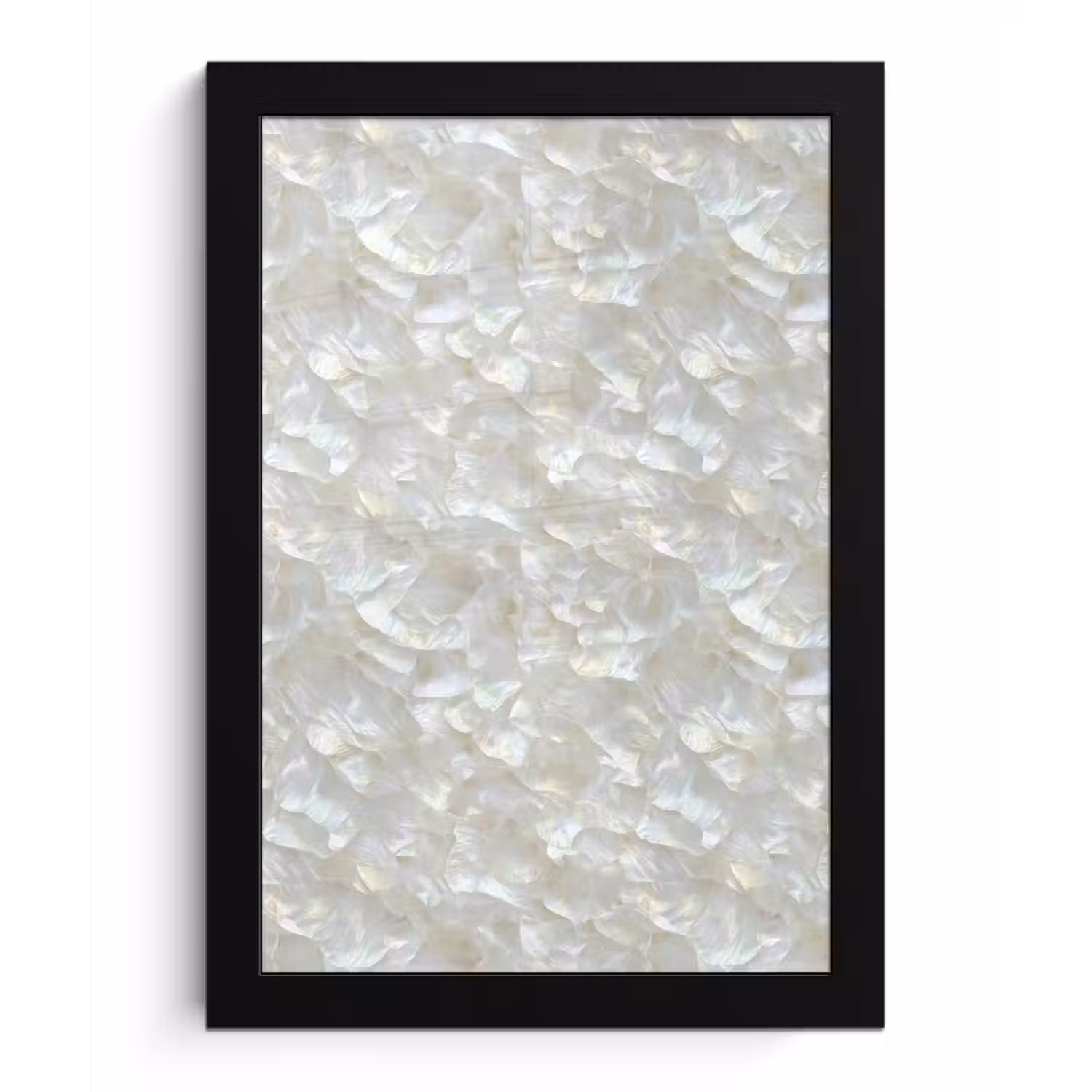 Parelmoerglans - Wit - Schelp fotolijst zwart zonder passe partout klein 224 -3d