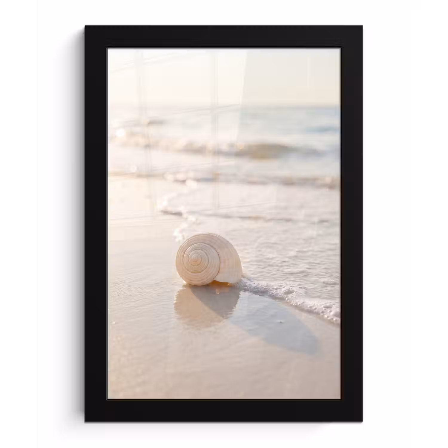 Zeeschelp - Strand - Zee - Natuur - Beige fotolijst zwart zonder passe partout klein -3d