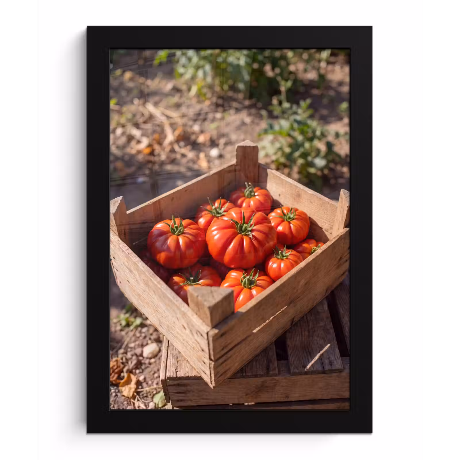 Framed Prints - Tomato - Wooden - Crate - Tomaat - Houten - Kist fotolijst zwart zonder passe partout klein