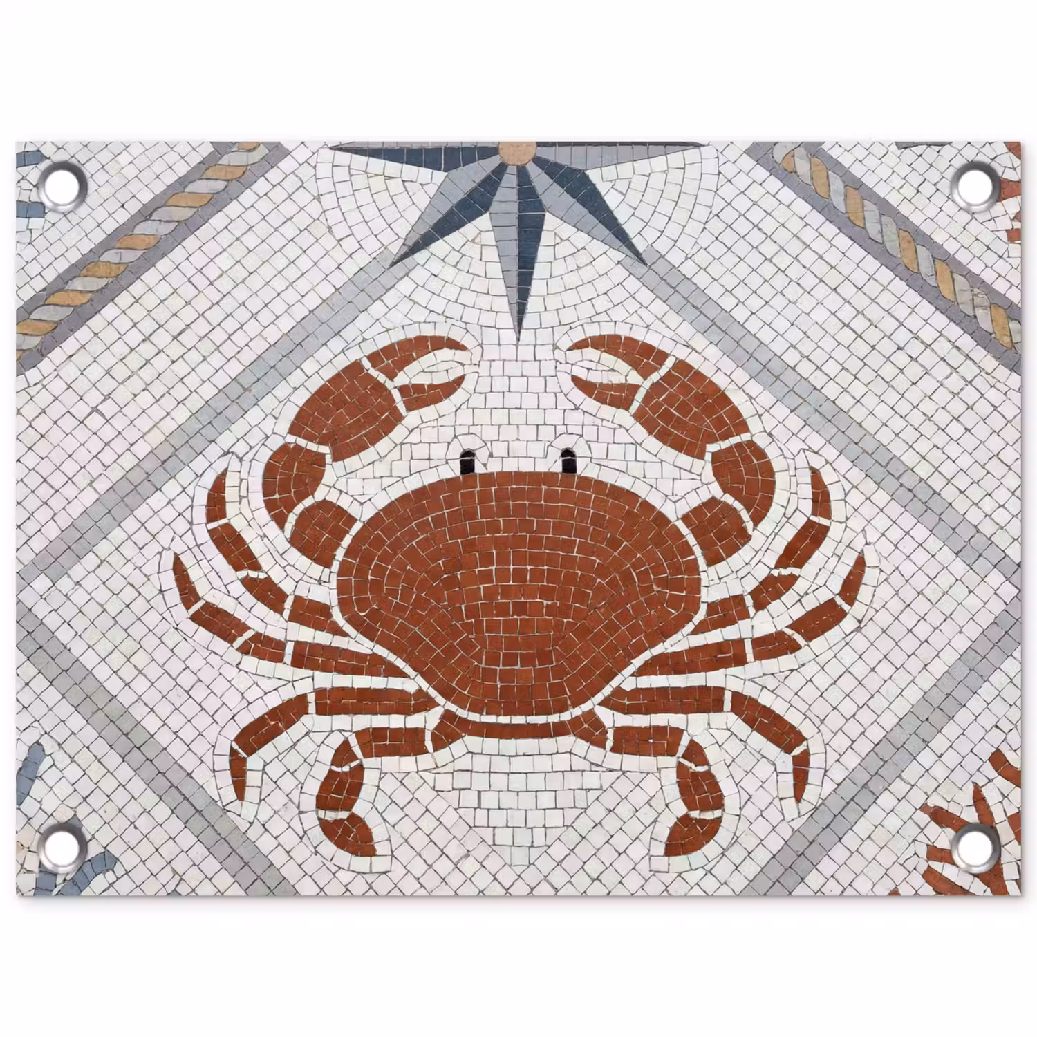 Dier - Mozaïek - Zee - Klassiek - Bruin tuinposter los doek klein -3d