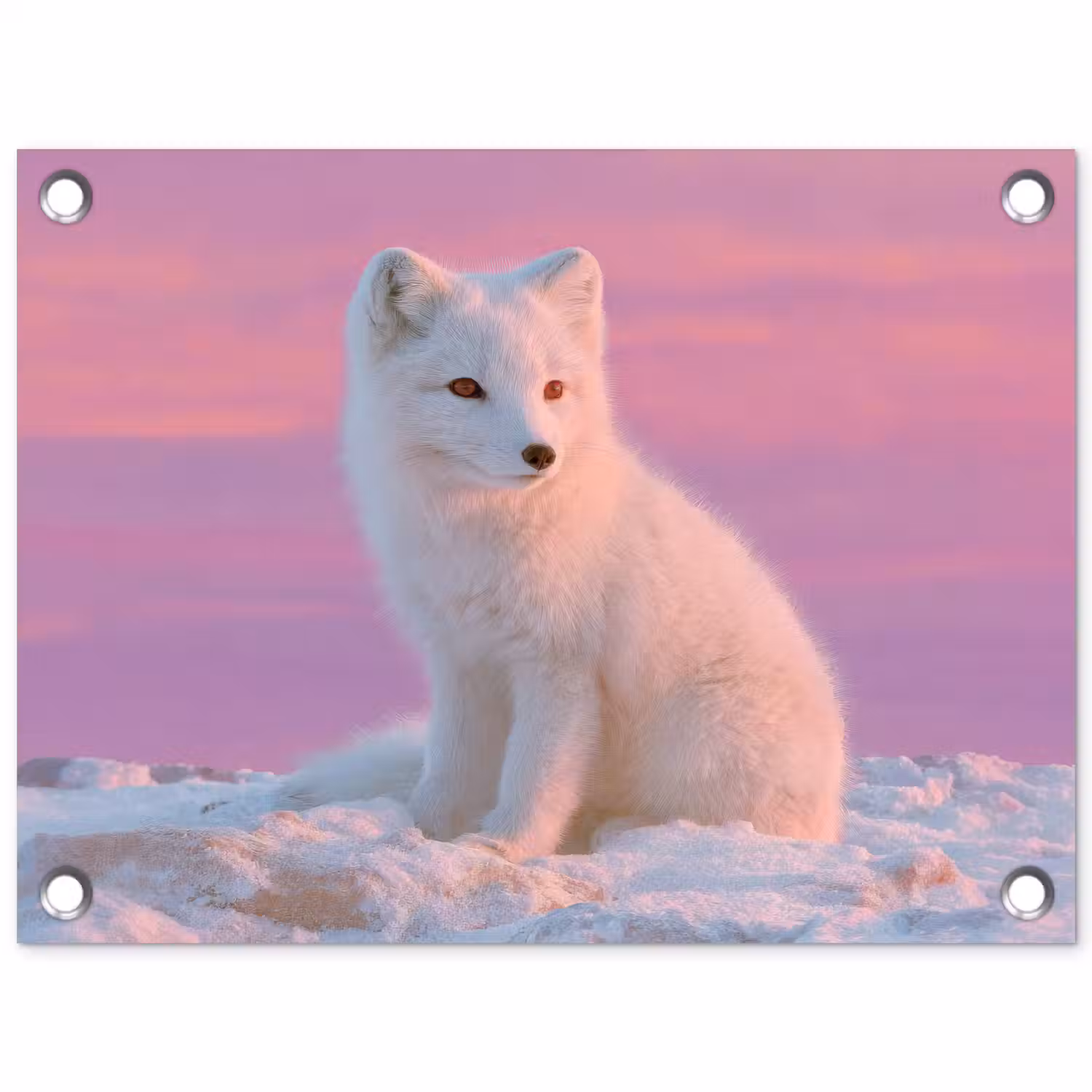 Poolvos - Sneeuw - Roze tuinposter los doek klein -3d