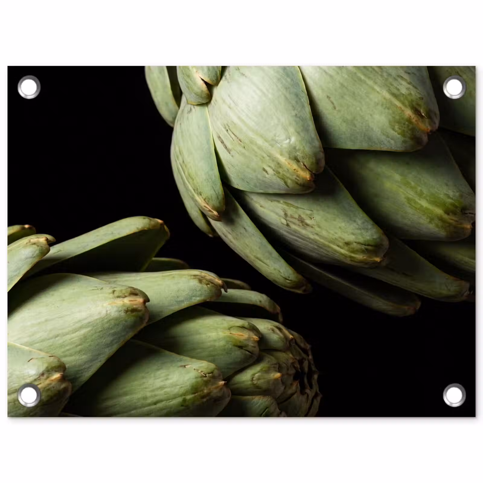 Garden Poster - Artichoke - Green - Food - Artisjok - Groen - Eten tuinposter los doek klein