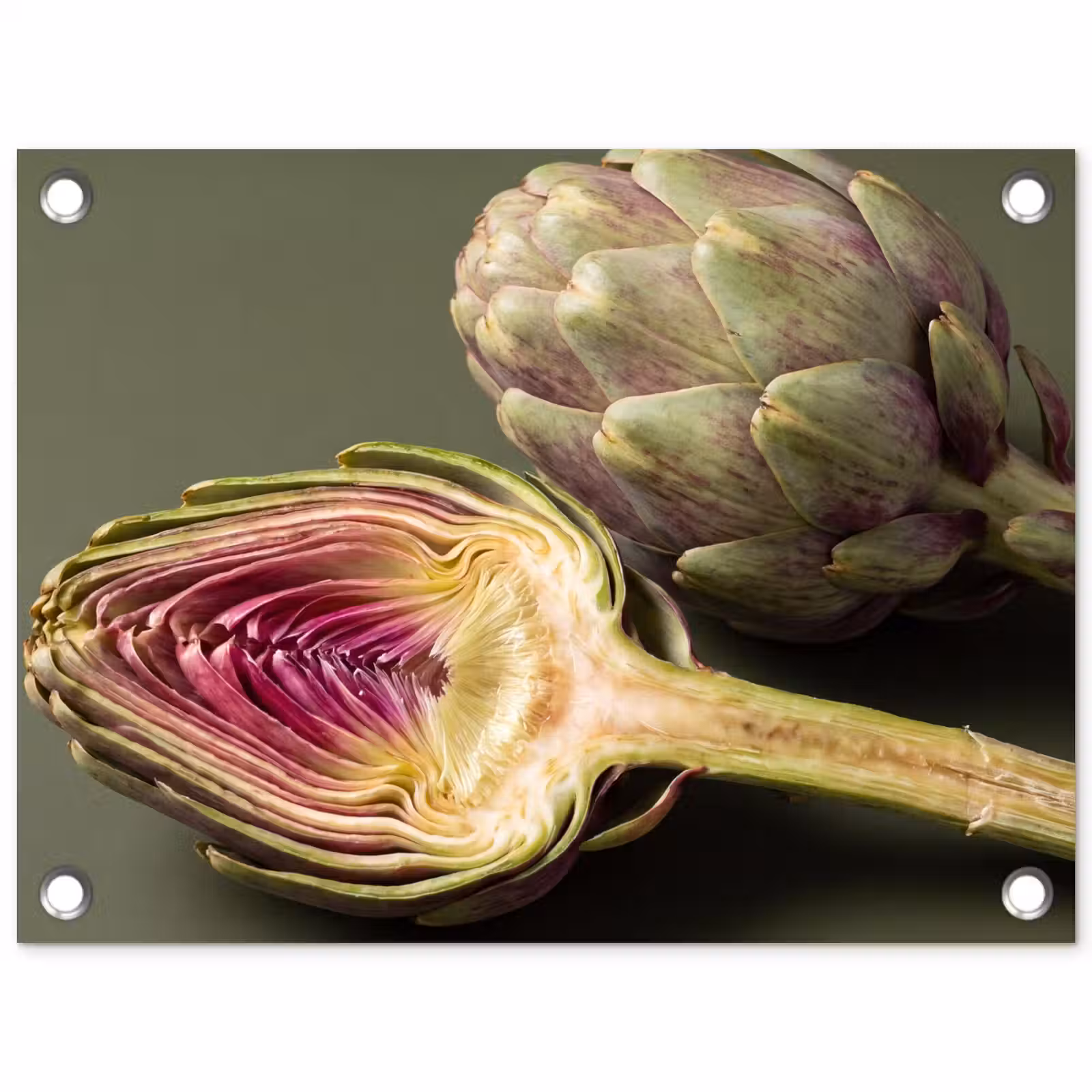 Garden Poster - Artichoke - Purple - Food - Artisjok - Paars - Voedsel tuinposter los doek klein