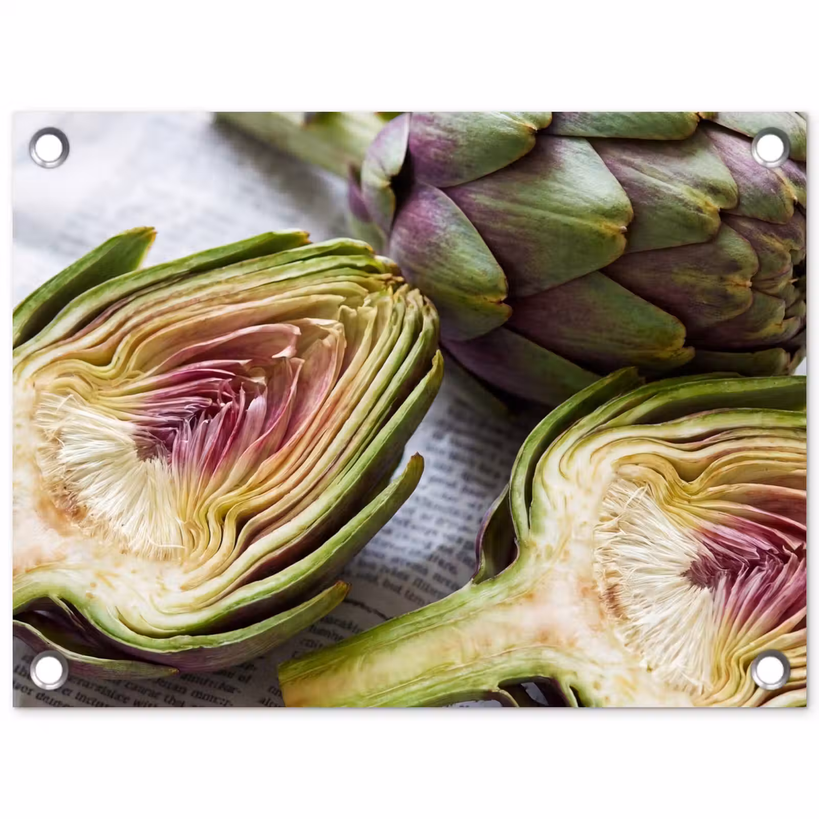 Garden Poster - Artichoke - Sliced - Food - Artisjok - Doorgesneden - Eten tuinposter los doek klein