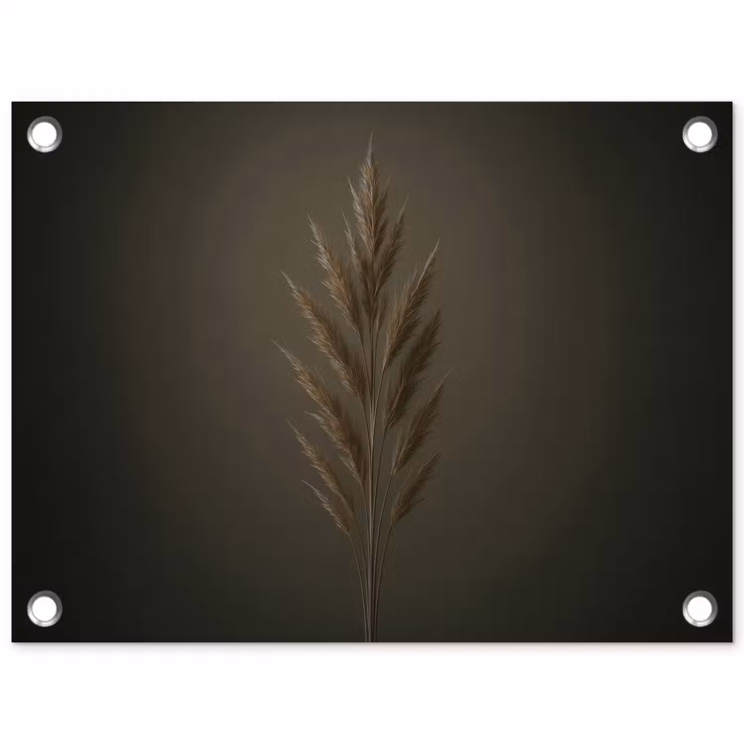 Tak - Pluimgras - Donkerbruin tuinposter los doek klein -3d