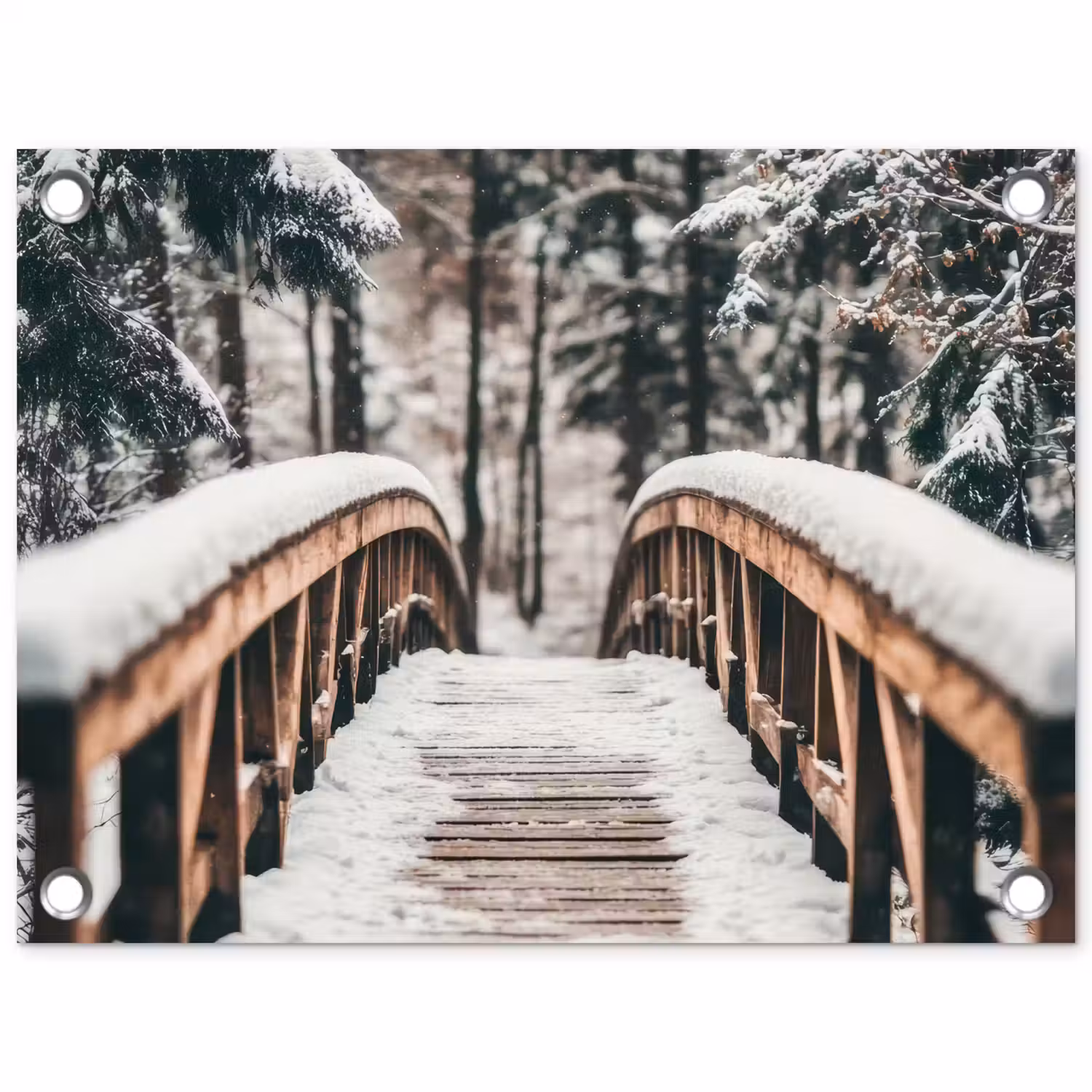 Brug - Winterlandschap - Bos - Natuur - Sneeuw tuinposter los doek klein -3d