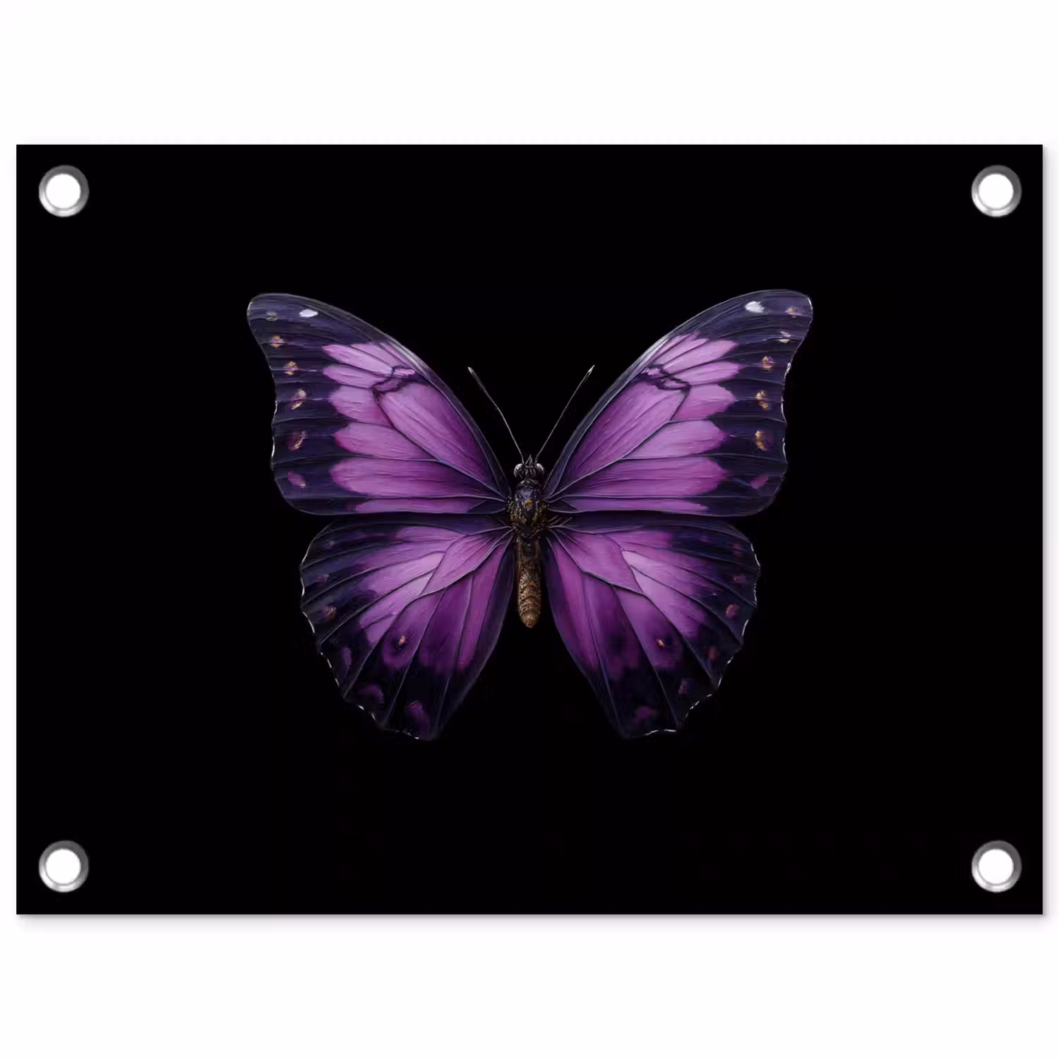 Vlinder - Paars - Levendig tuinposter los doek klein -3d