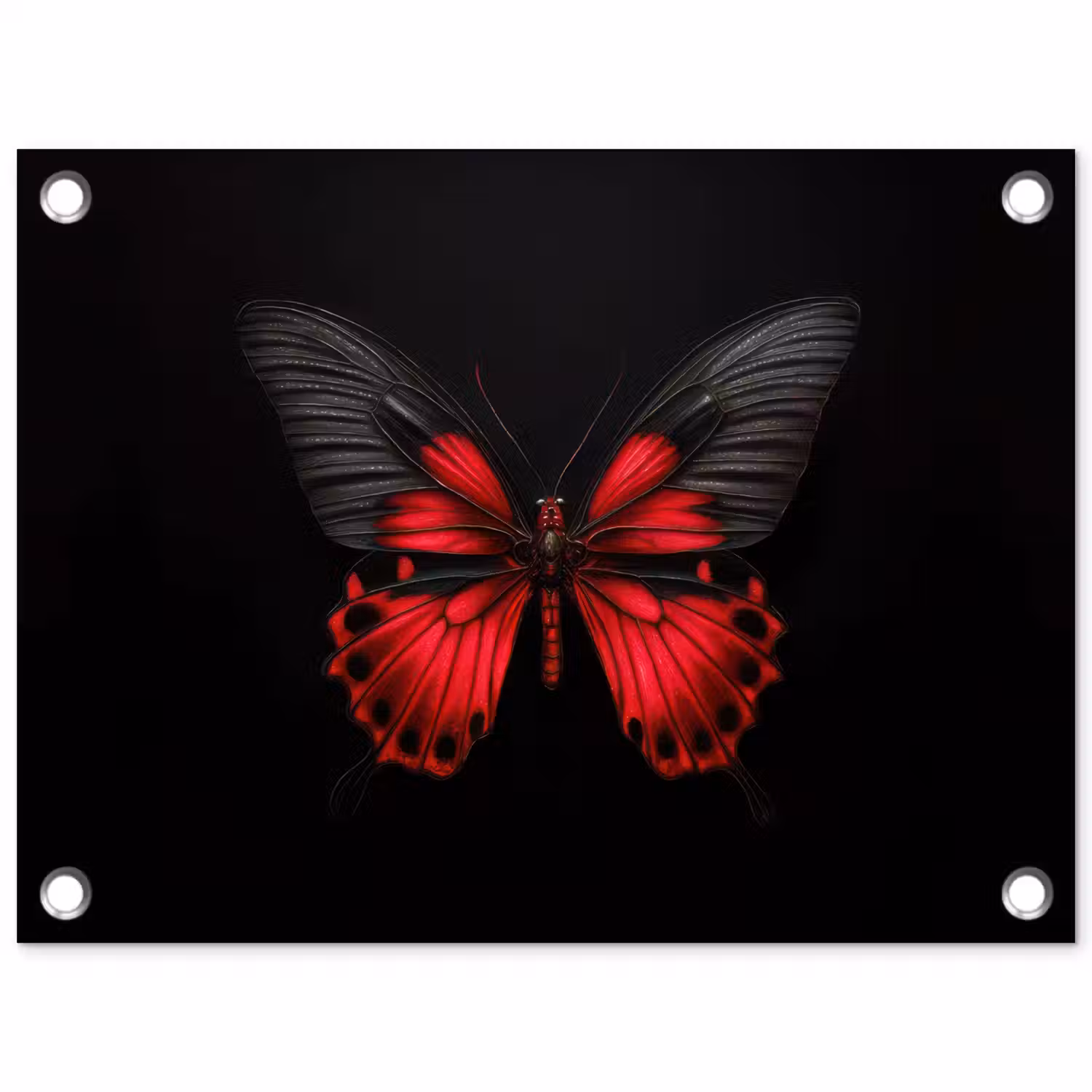 Vlinder - Rood - Contrast tuinposter los doek klein -3d